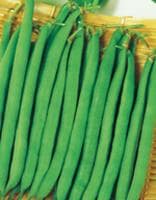 ���꡼�ʡʥ������Υ��͡ˡ�