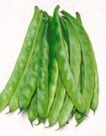 �����ӡ��Ρʥ������Υ��͡�