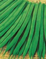 �쥰�륹�ʥ������Υ��͡ˡ�