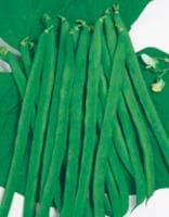 ���Сʥ������Υ��͡ˡ�