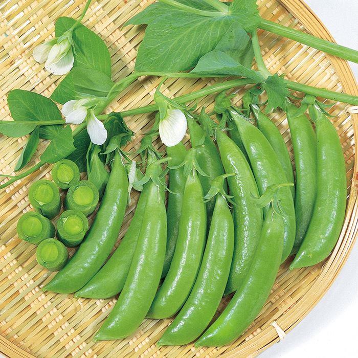 �Ĥ뤢�꡿���ʥå��������ʥ������Υ��͡�