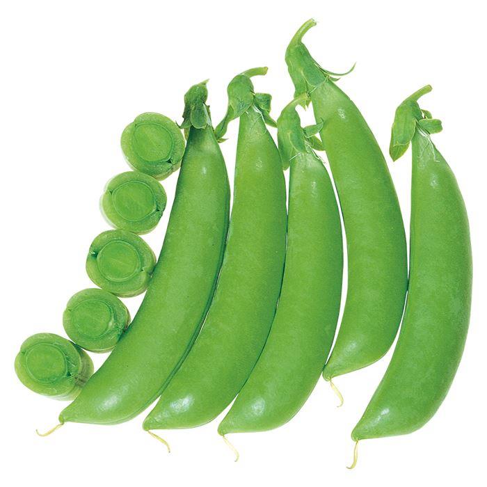 �Ĥ�ʤ����ۥ�󥹥ʥå��ʥ������Υ��͡�