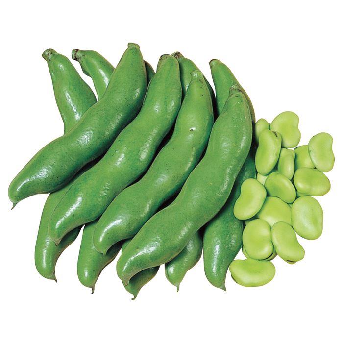 ��ɡʥ������Υ��͡�