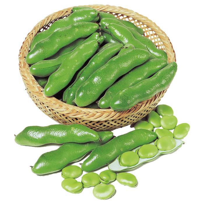 �Ǳ۰����ʥ������Υ��͡�