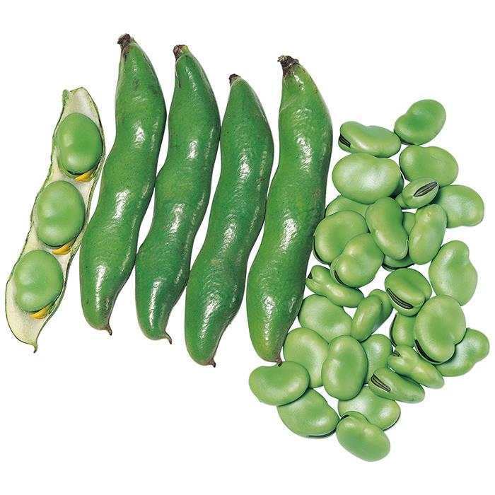 �Ǳ��а����ʥ������Υ��͡�