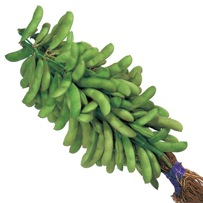 ŷ�����ʥ������Υ��͡�