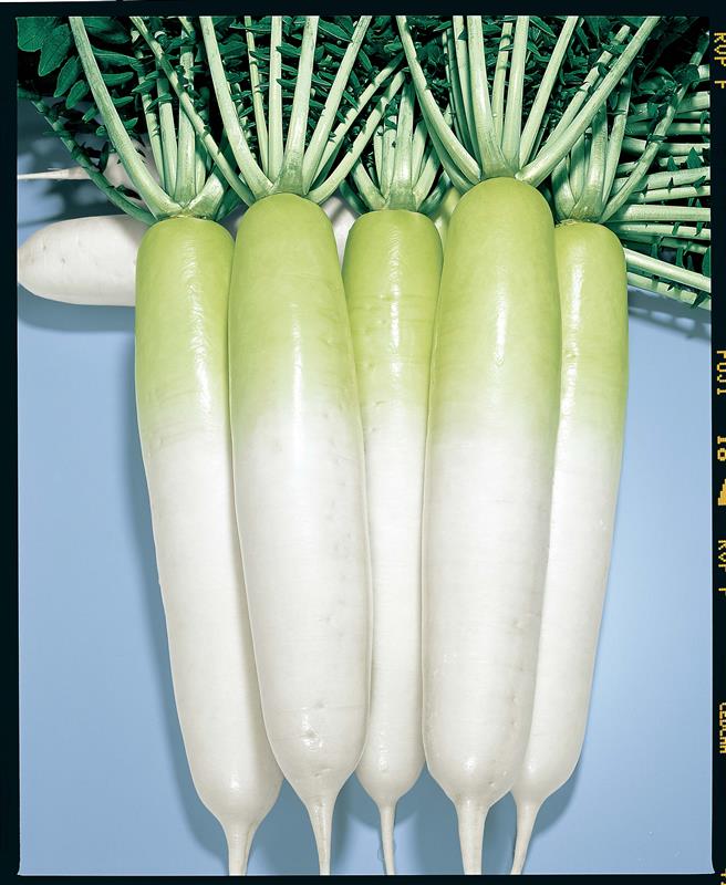 ƤĤֽܡסʥȡۥ