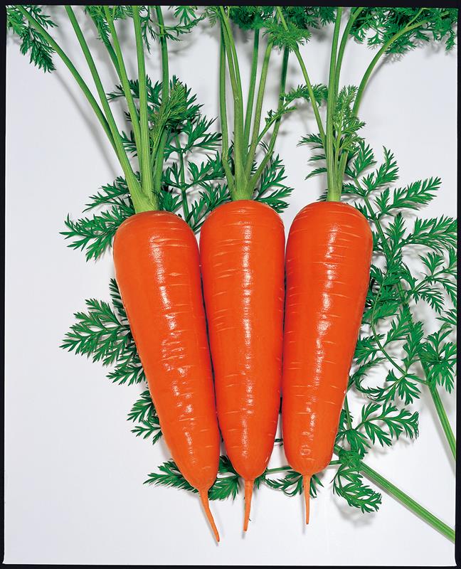 ���ڡʥȡ��ۥ���