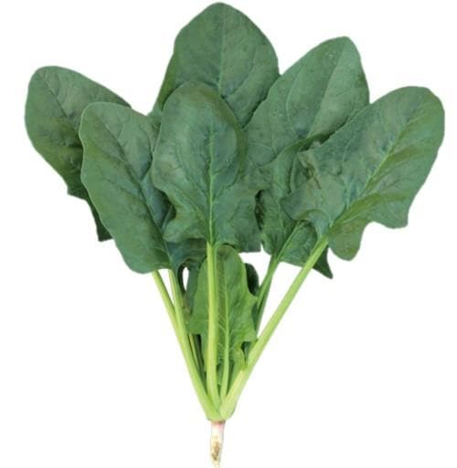 �������ȥ꡼��ʥȥ������ġ�