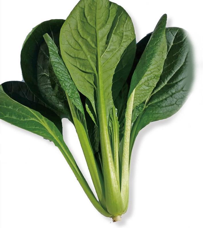 ���ߤΥ������ʥȥ������ġ�