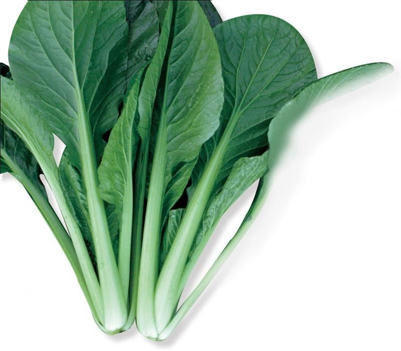 �Ƥιûұ�ʥȥ������ġ�