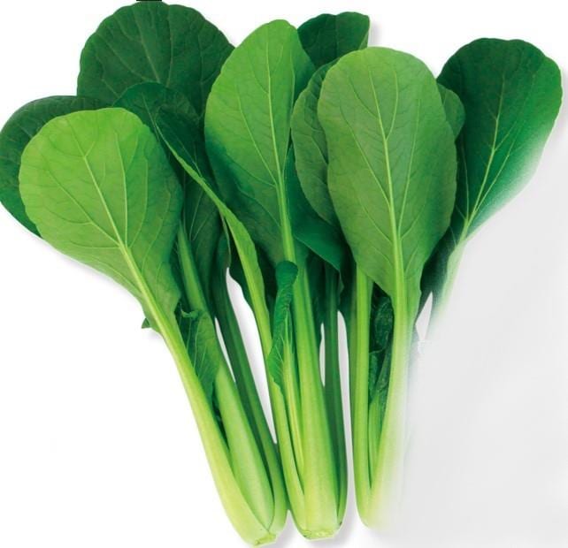 �դΥ���Хġʥȥ������ġ�