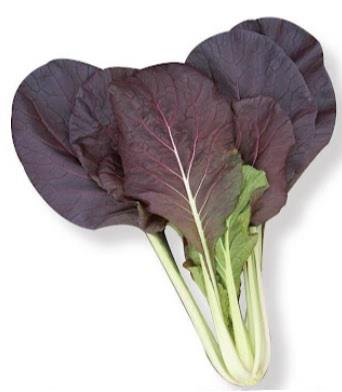 �£֣������ʥȥ������ġˡ�