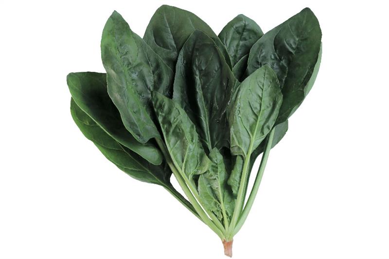 ���ꥯ���������С�[TSX-713]�ʥȥ������ġ�