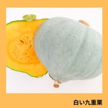 �򤤶�ŷ��ʥ��ͥ����ġ�