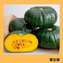 ����Ϻ�ʥ��ͥ����ġ�