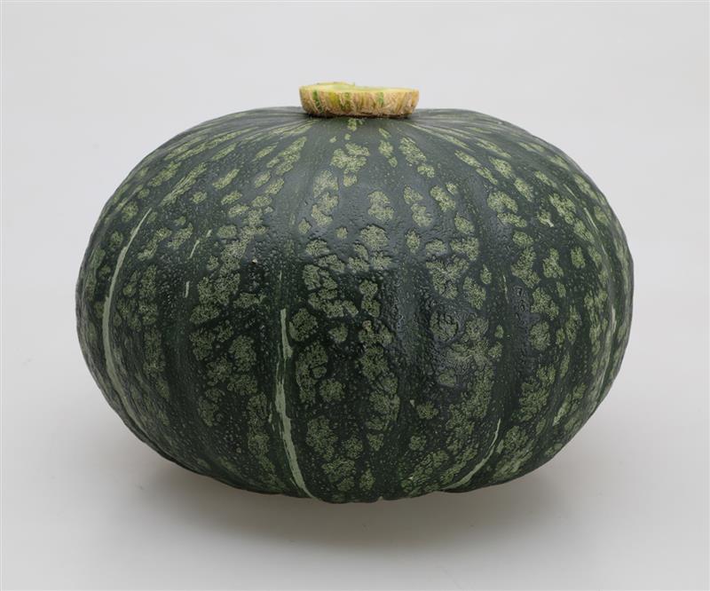 �ۤ��ۤ��ʥ��ͥ����ġ�