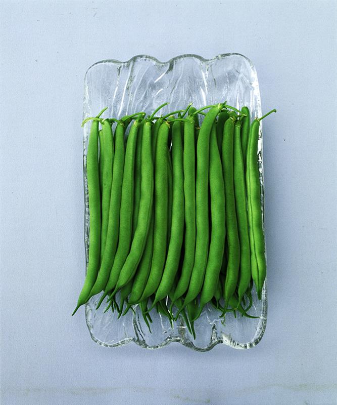 �����ʤ����꡼��ʥ��ͥ����ġ�