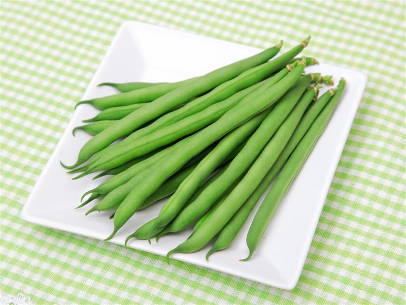 ���㡼�꡼�ʥ��ͥ����ġ�