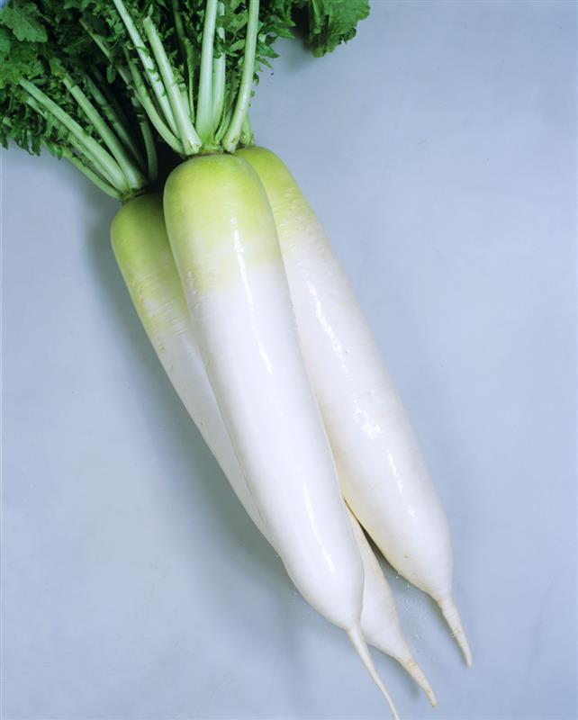 YRľʥͥġ