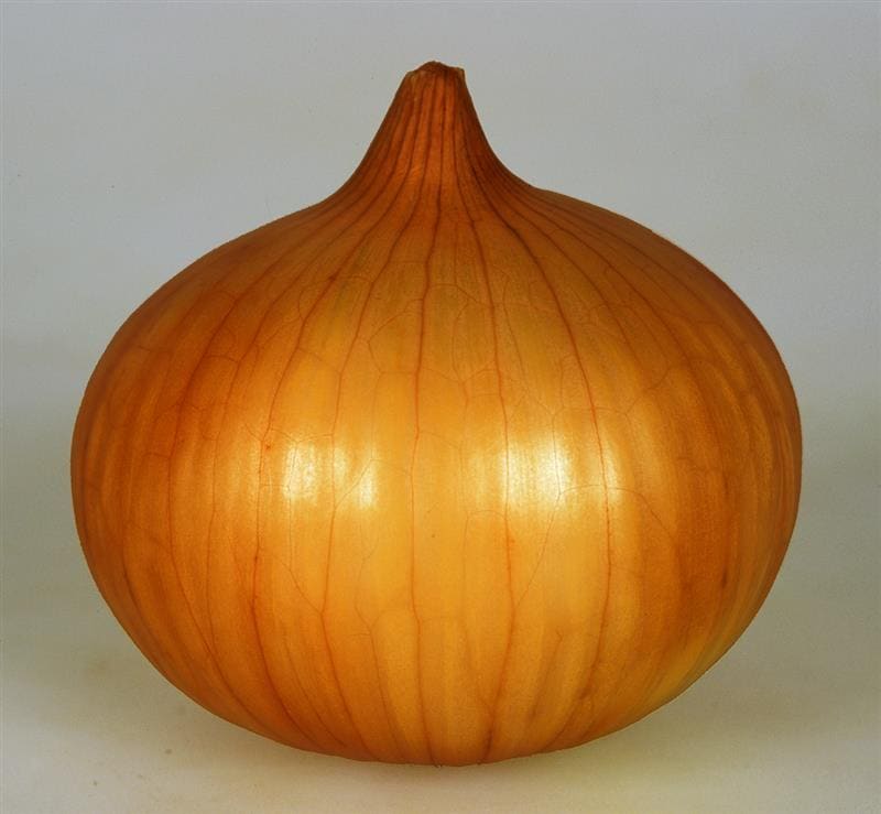 ;Сʥͥġ