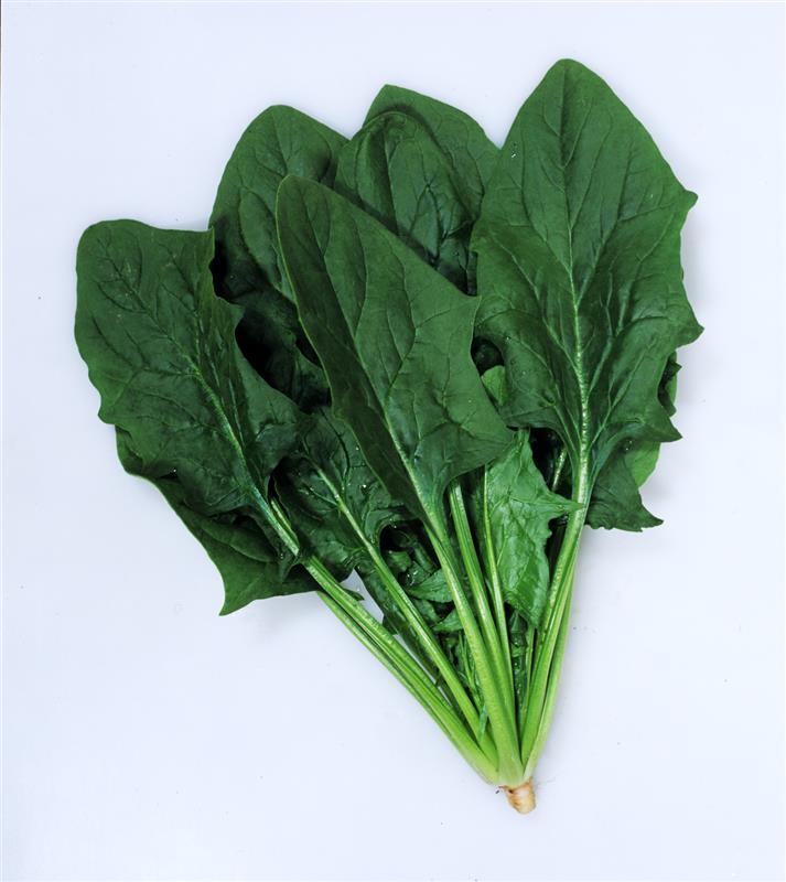 ����ۡ��ץ��֥�ʥ��ͥ����ġ�