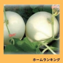 �ۡ����󥭥󥰡ʾ��Ӽ��ġ�