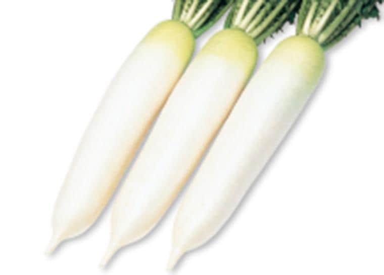 ġ