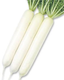 Ĺġˡ