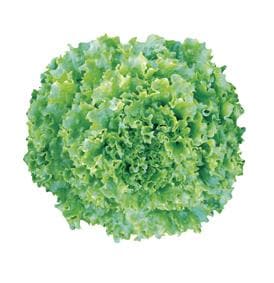 �ե쥢�٥��������ġ�