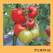 ���˥�ԣ١ݣ�������¢����ı�ˡ�