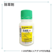 �������ݣĥ��ߥ��