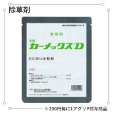 ������å����Ŀ��º�