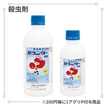 �����󥿡�����