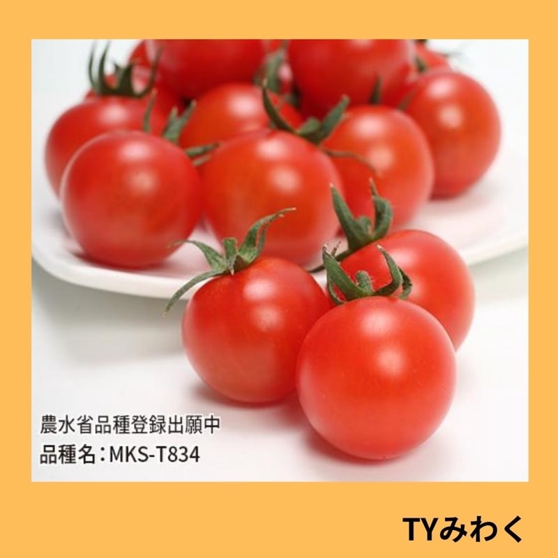 ԣ٤ߤ勞ʥߤɡ