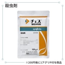 ��������γ���º�