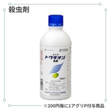 �ȥ�����������