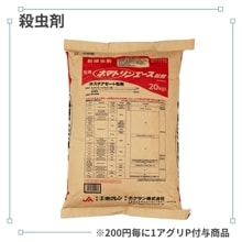 �ͥޥȥ�󥨡���γ��