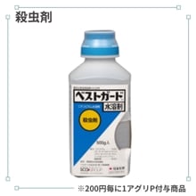 �٥��ȥ����ɿ��Ϻ�