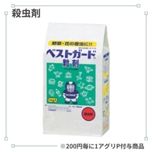 �٥��ȥ�����γ��