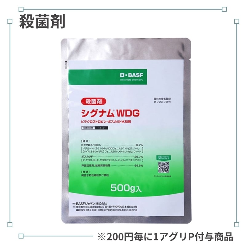 �����ʥ�ףģ�