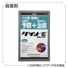 �����ʥ���γ���º�