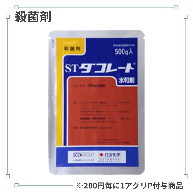 �����졼�ȿ��º�