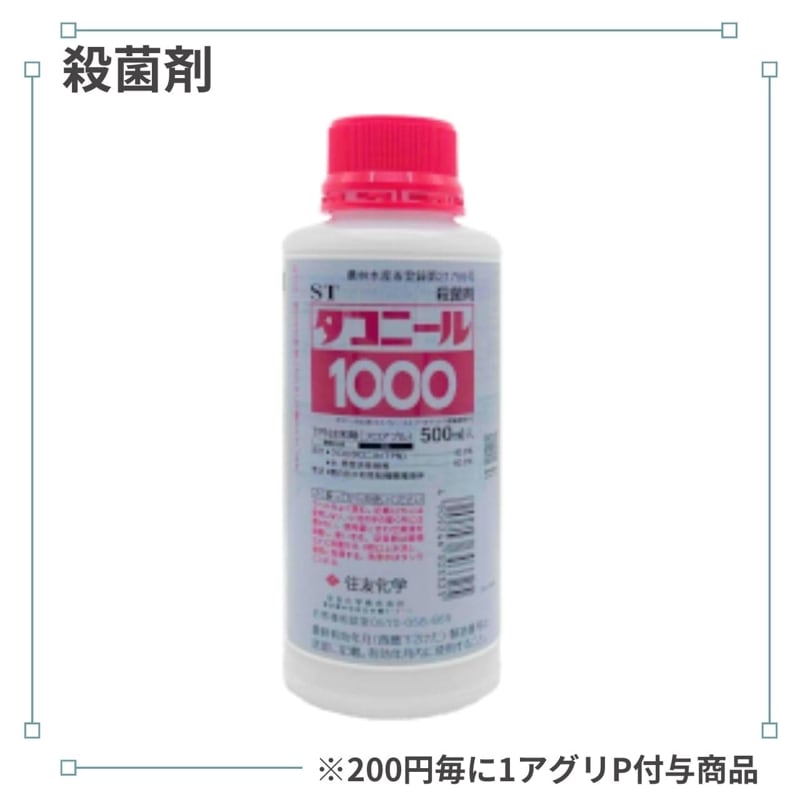 �����ˡ��룱������