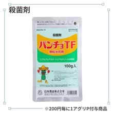 �ѥ����ԣ���γ���º�