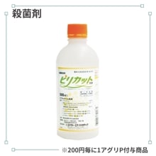 �ԥꥫ�å�����