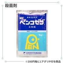 �ڥ󥳥��ֿ��º�