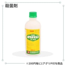 �ݥꥪ�������������