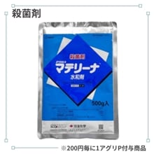 �ޥƥ꡼�ʿ��º�