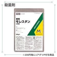 ��쥹������º�